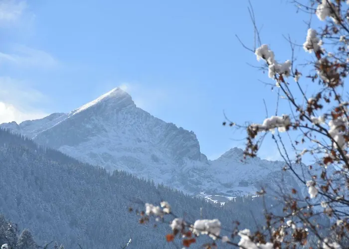 Alpenheim גרמיש-פרטנקירכן
