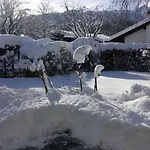 Alpenheim *